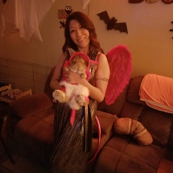 Bags, twillies, scarves, clothes, shoes, jackets, etc. - Picture 10 of 16